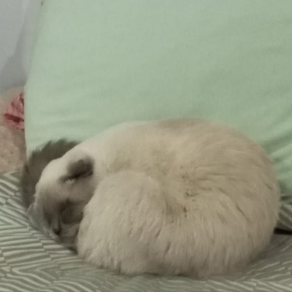 FOR HEATHER - Picture 3 of 4